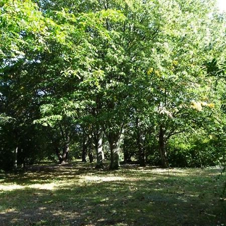 Bois Logis Villa Blere Exteriör bild